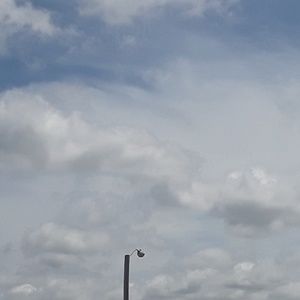 Meet your Posher, Danny